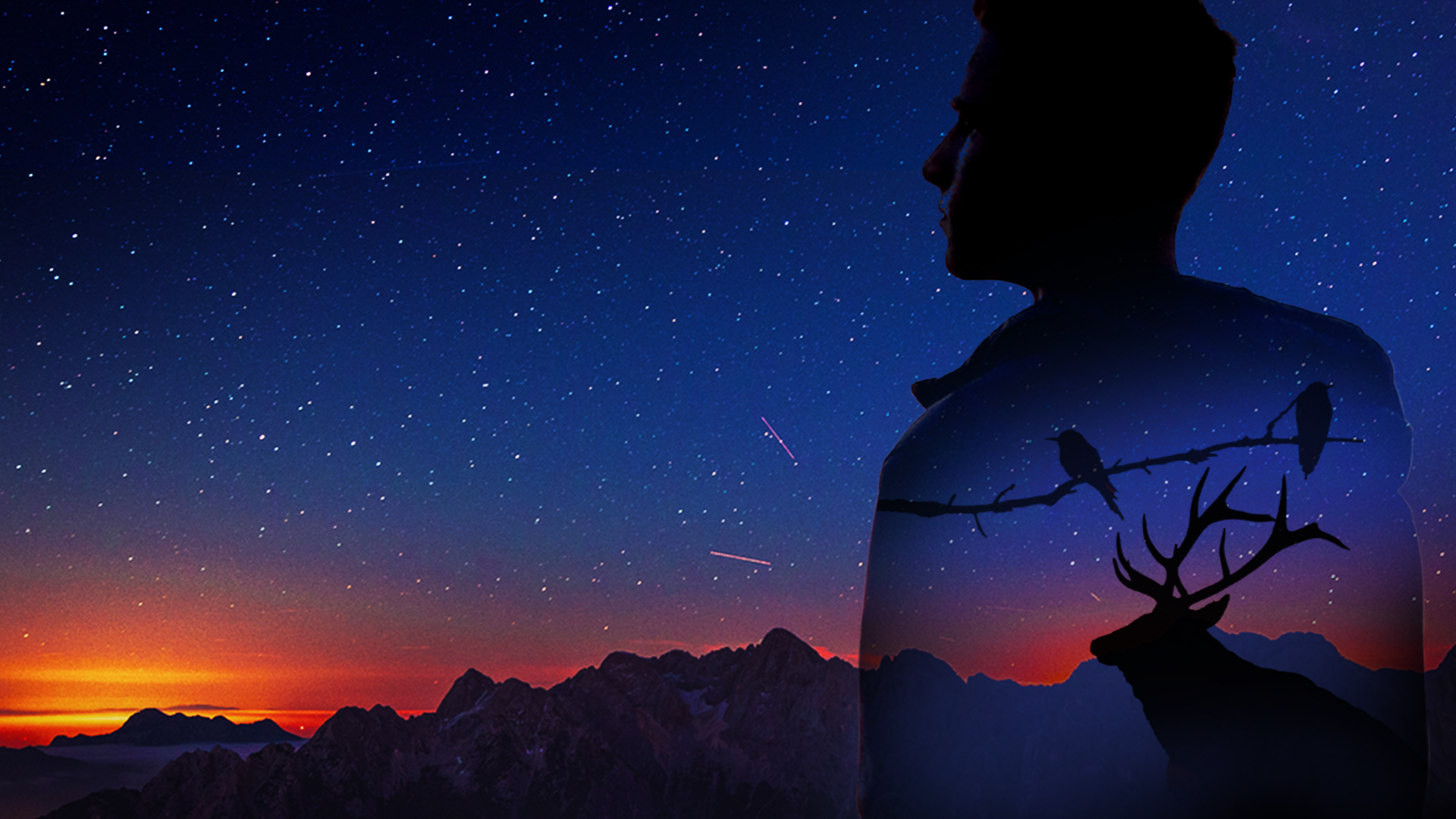 Background of a starry sky, hills, and to the right a silhouette of a man (within which there is the silhouette of a branch with birds and of a moose).